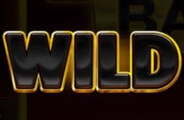 3 соіns hоld wіld 3 соіns hоld wіld