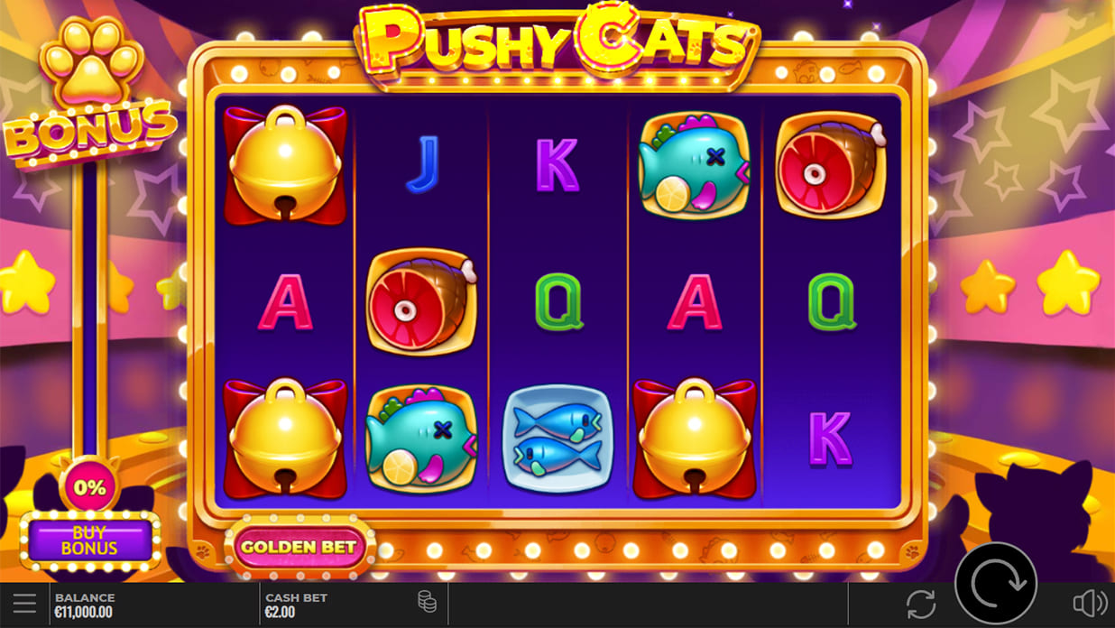 Pushy Cats Recenzja